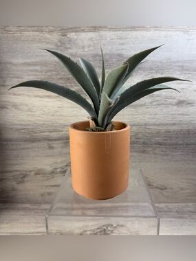 Artificial Faux Fake Blue Agave Plant in Terracotta Pot Desert Bohemian 8” Tall
